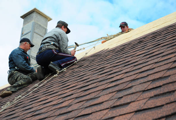 Best Best Roofing Contractors  in Kelly Ridge, CA