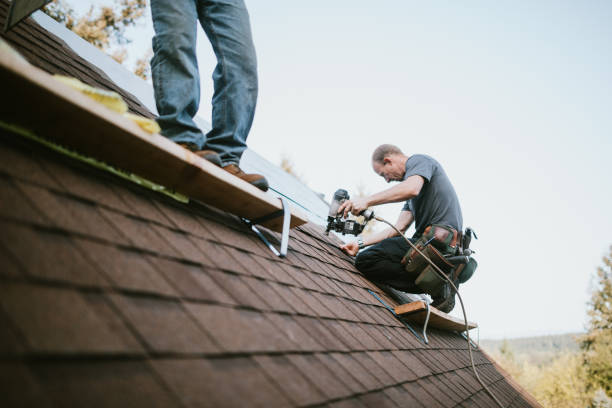 Quick and Trustworthy Emergency Roof Repair Services in Kelly Ridge, CA